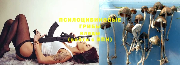 МДПВ Абаза