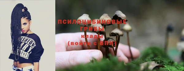 МДПВ Абаза